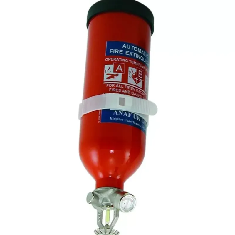 ANAF Extincteur ABC 1 kg | automatique | avec support*ANAF Group