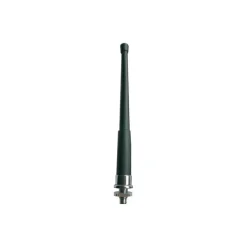 Discount Antenne AM/FM 25 cm Multimédia - Hi-Tech·Accessoire Antenne Tv & Radio