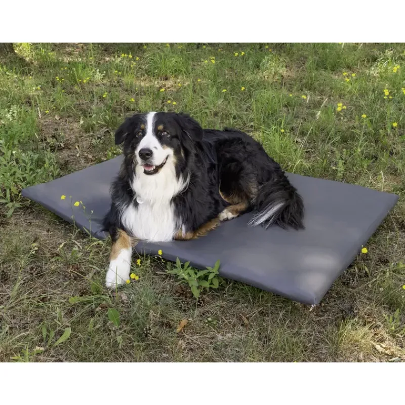 Clearance Matelas pour chien T5-T6 California Chiens & Animaux|Vw T5 / T6