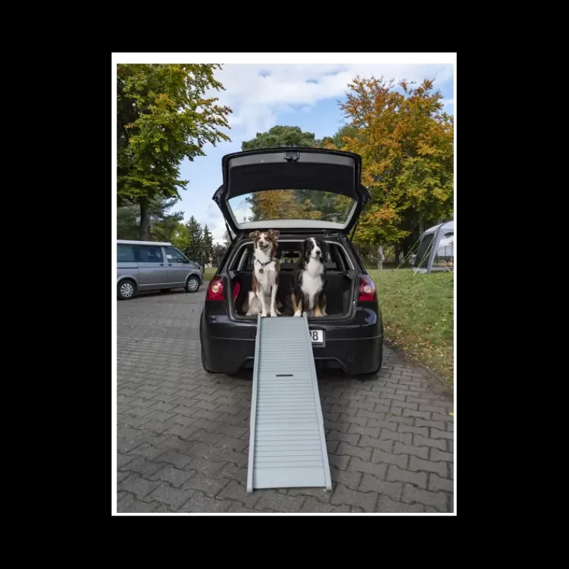 Outlet Rampe Emma pour chien Chiens & Animaux|Vie En Plein Air·Pour Le Chien