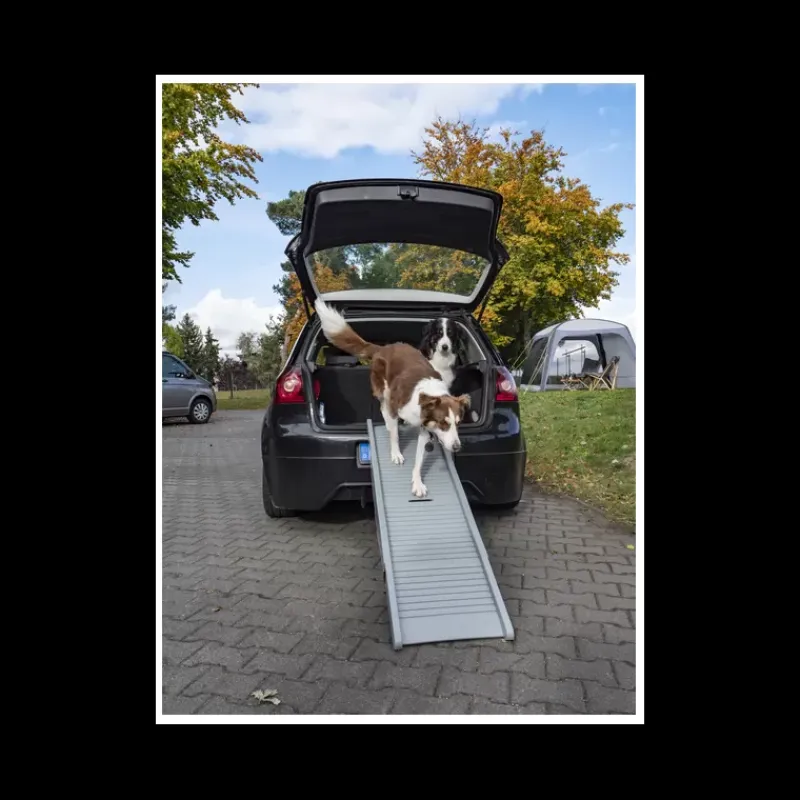 Outlet Rampe Emma pour chien Chiens & Animaux|Vie En Plein Air·Pour Le Chien