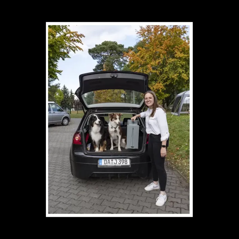 Outlet Rampe Emma pour chien Chiens & Animaux|Vie En Plein Air·Pour Le Chien