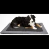 Tapis Abby pour chien*Camp4 New