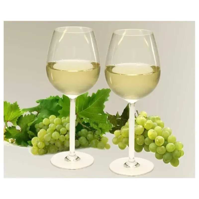 Verre à vin polycarbonate*Camp4