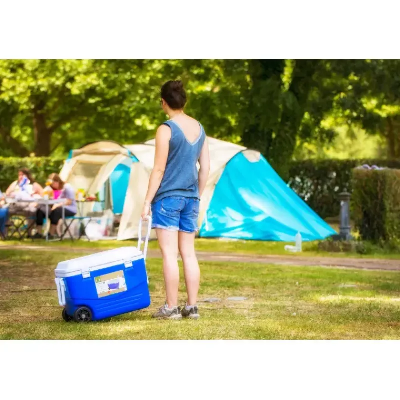 Online CAO Glacière rigide à roulettes Le Froid Au Camping·Glacière Passive|Glacière·Glacière Rigide
