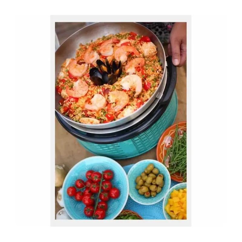Wok BBQ Premier*COBB Sale