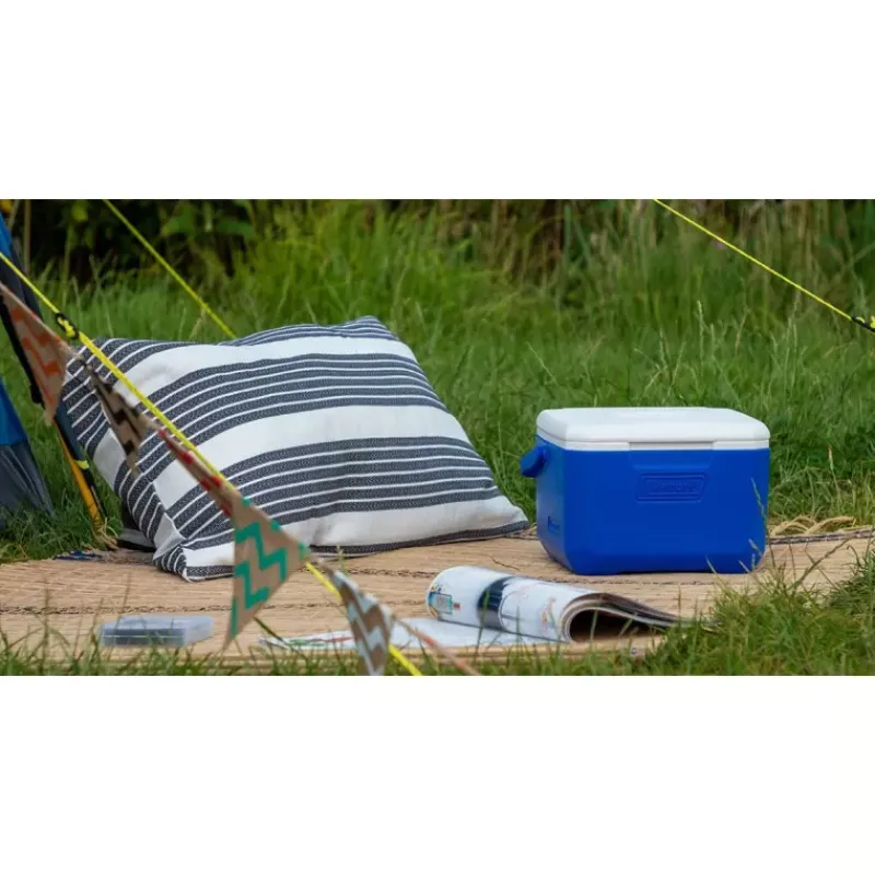 Glacière FlipLid 6*Coleman Discount