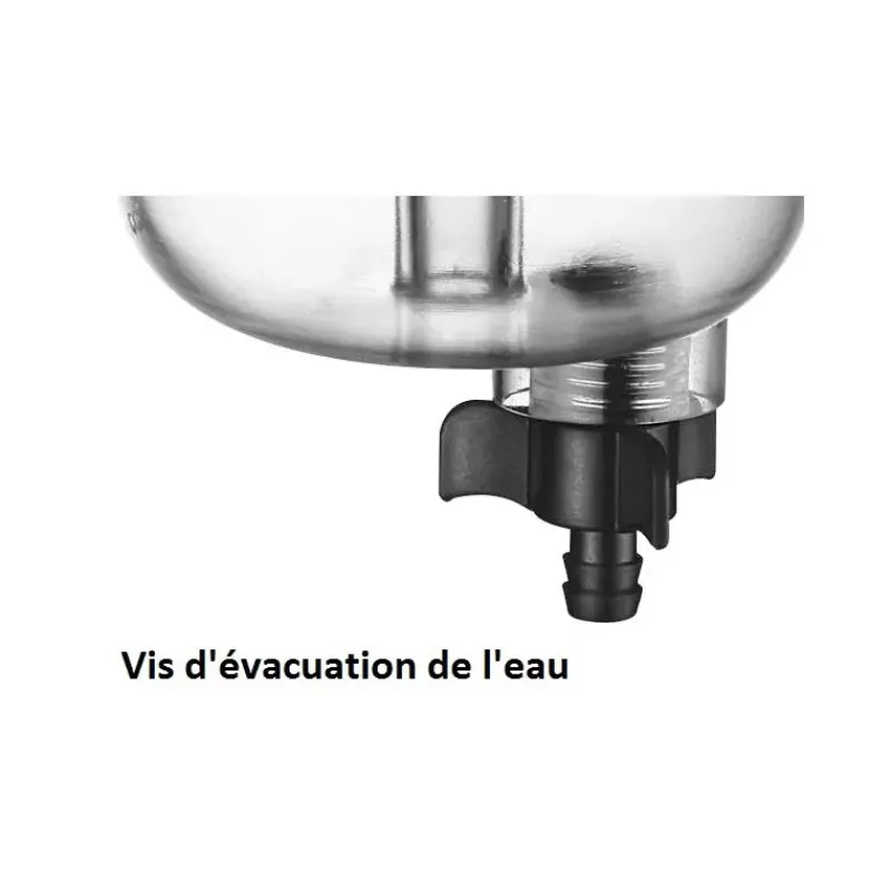Filtre décanteur essence - 402 L/h*Easterner New