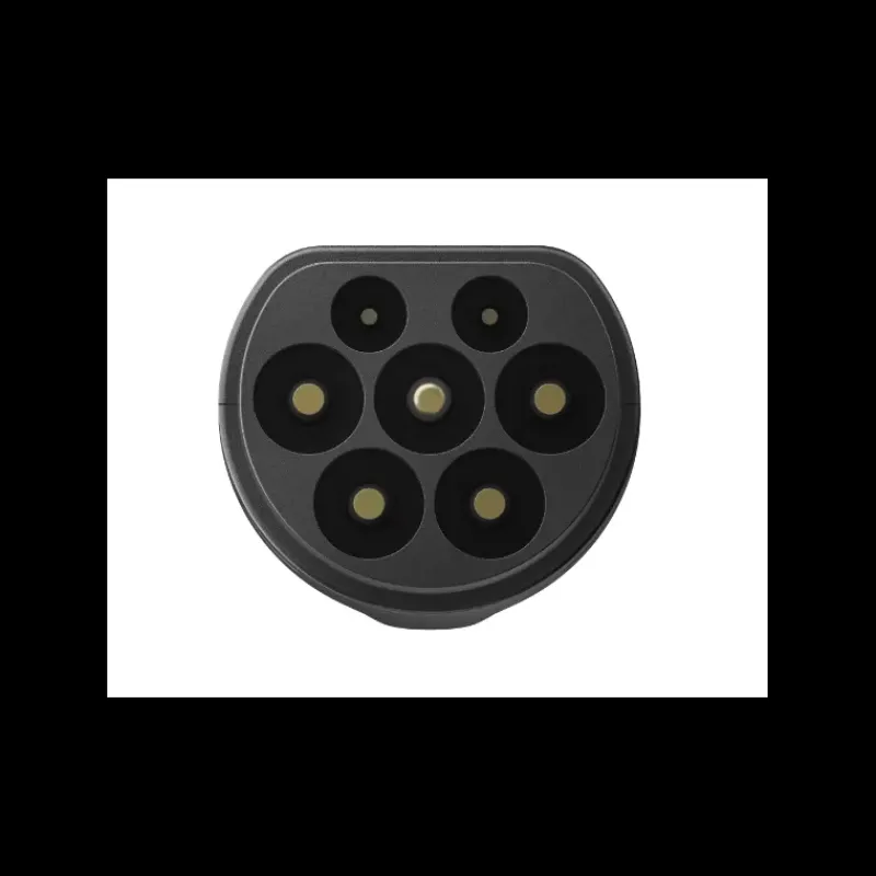 Adaptateur de charge Delta pro - Véhicule électrique*EcoFlow Hot