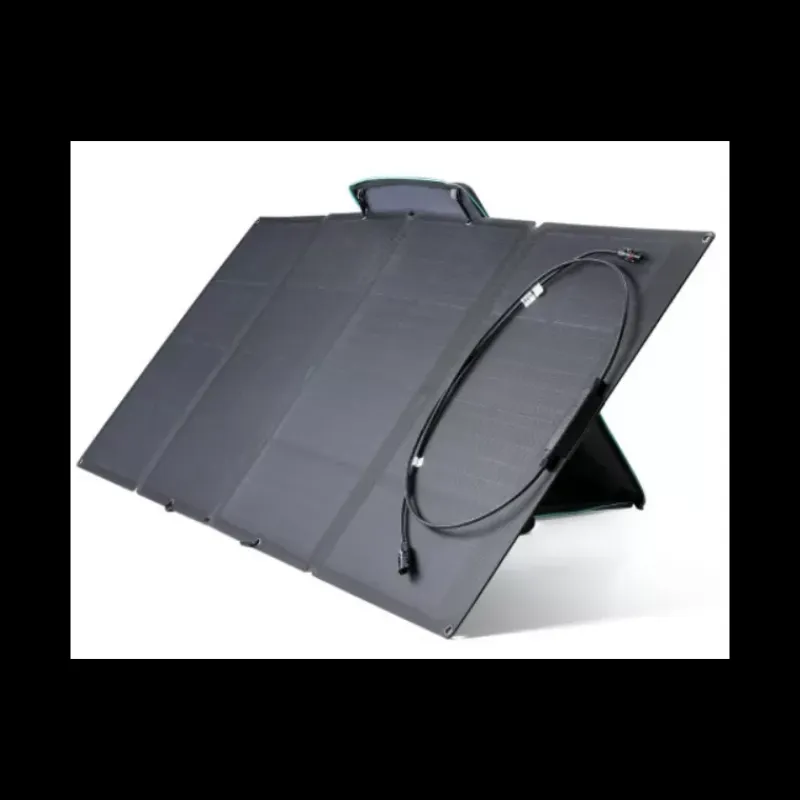 Delta 2 1024 Wh + Panneaux solaires 2 x 110 W*EcoFlow Best