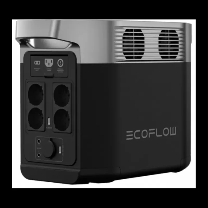 Delta 2 1024 Wh + Panneaux solaires 2 x 110 W*EcoFlow Best