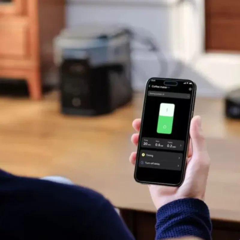 Smart Plug*EcoFlow Hot