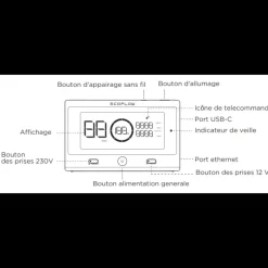 Télécommande Delta Pro*EcoFlow Best