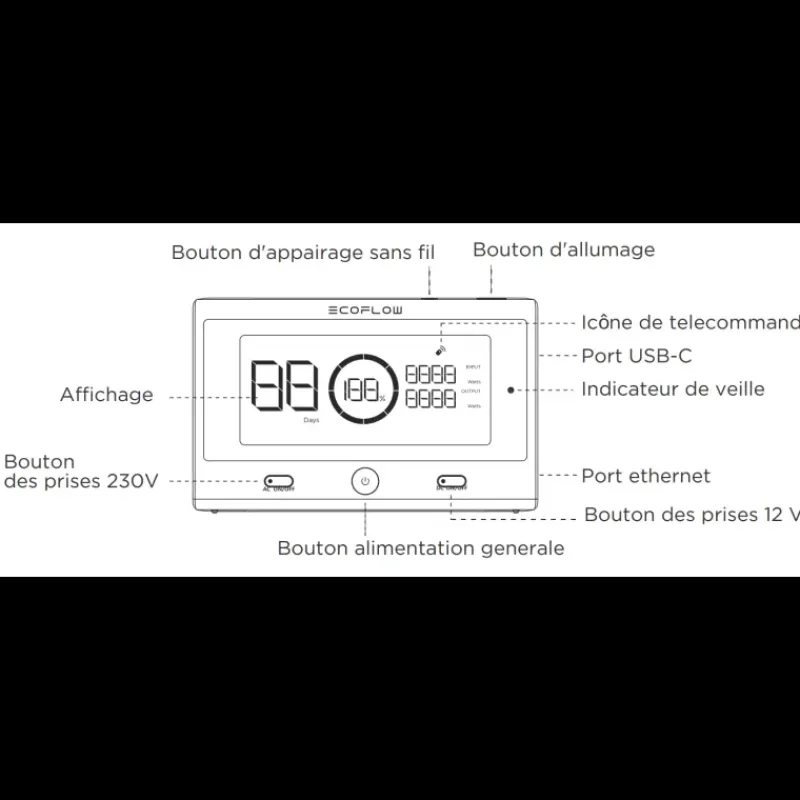 Télécommande Delta Pro*EcoFlow Best