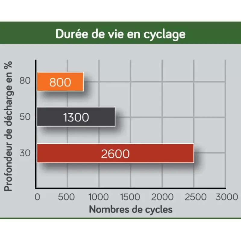 EM Batterie AGM 6V 460Ah*Energie Mobile Discount