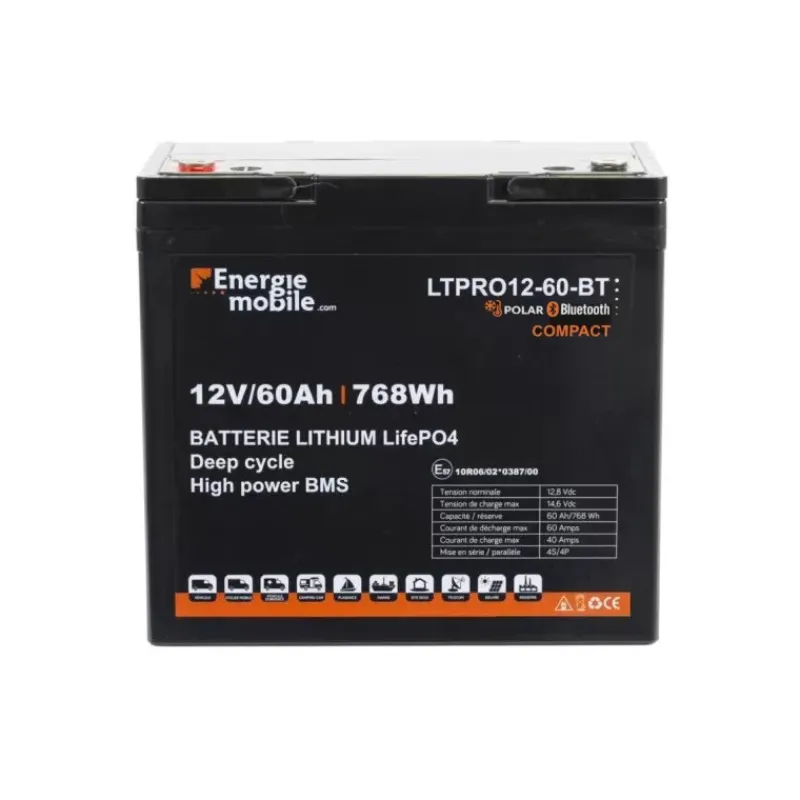 EM Batterie Lithium LTPRO 12-60 AH HD-P-BT - 768 Wh Batterie·Batterie Lithium|Batteries·Batterie Lithium