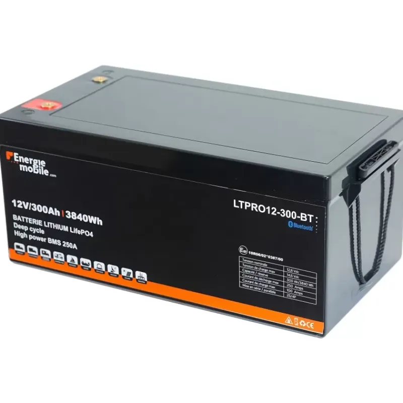 EM Batterie Lithium LTPRO 12-300 Ah BT - 3840 Wh*Energie Mobile New