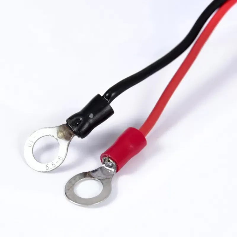 Hot EM Chargeur 230/12V - MCH12-20 IP67 Production Électrique·Chargeur De Batterie 230 V|Production Électrique·Chargeur 230V