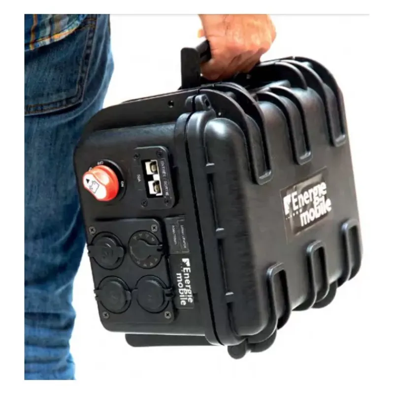 EM Powerkase PK60 768 Wh*Energie Mobile Best