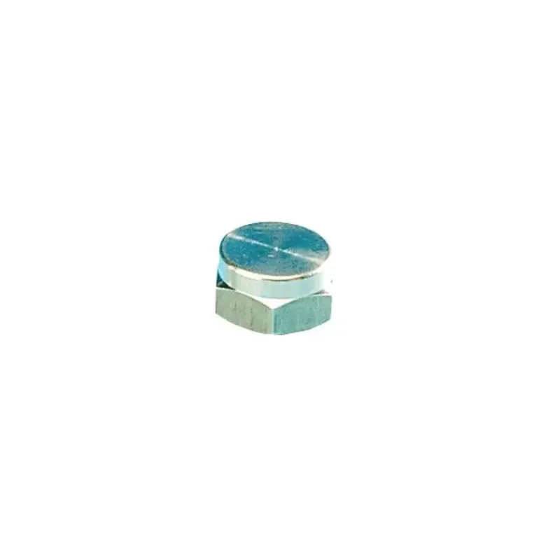 Bouchon gaz fileté femelle 20 x 1,5*Favex Sale