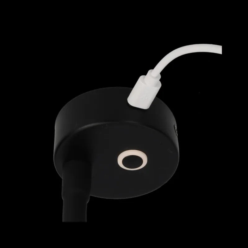 Felino Flex spot noir USB-C*Haba New