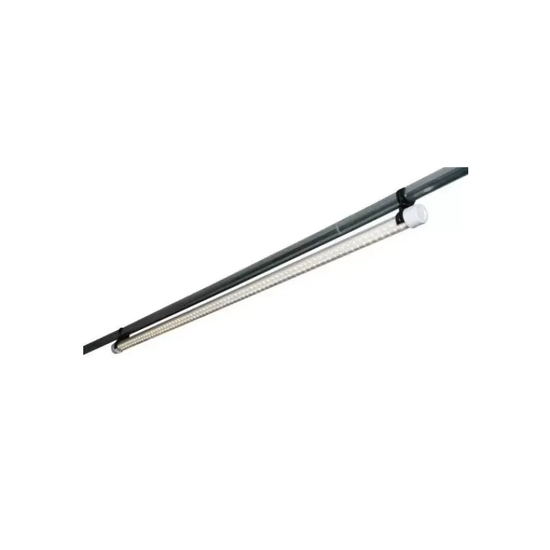 Insight Tub LED*Haba