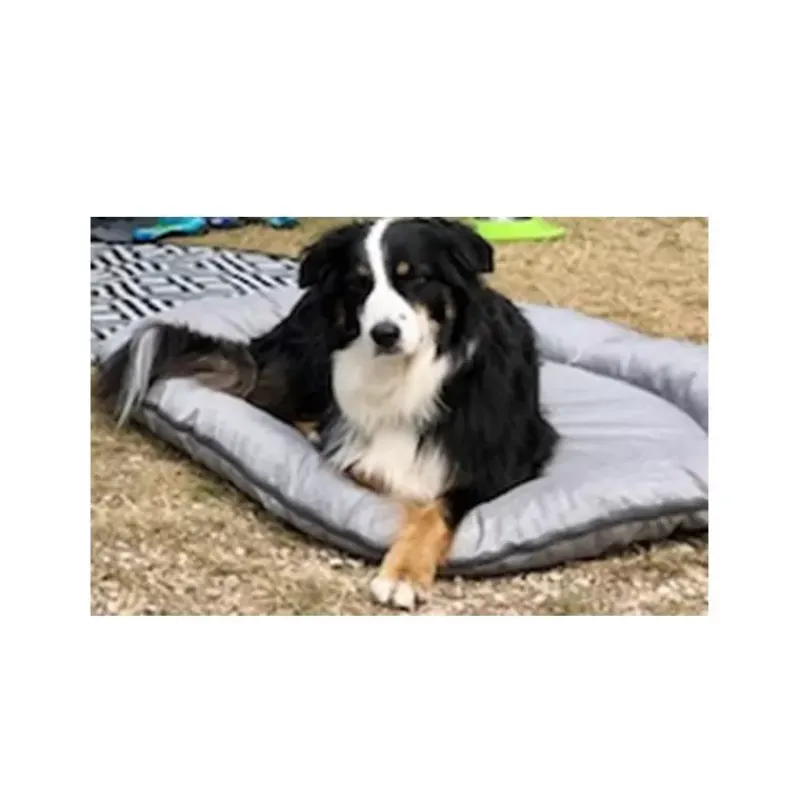 HT Tapis pour chien matelassé*Holiday Travel