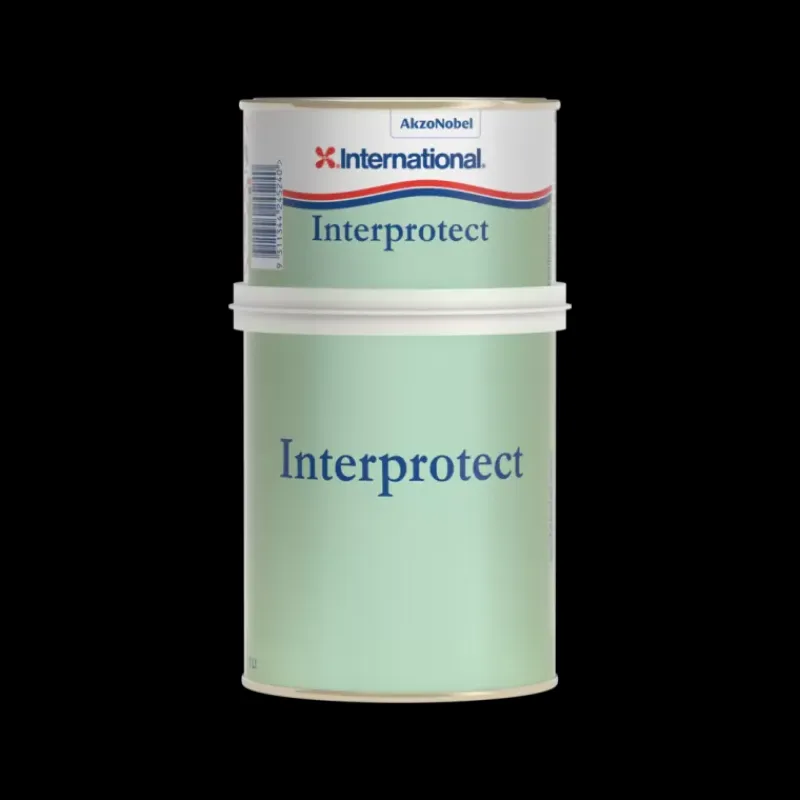 Interprotect*International