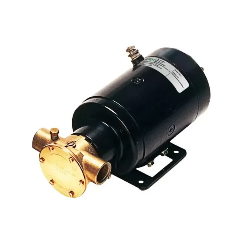 JOHNSON F5B-19 55 L/min*Johnson Pump | SPX FLOW Online