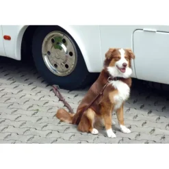 Dog-Sitter*Linnepe Clearance