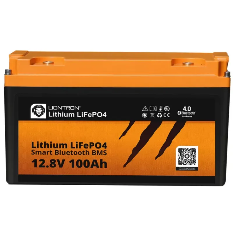 Batterie lithium 12 V | 100 Ah - 1280 Wh*Liontron