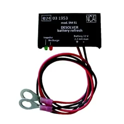 Rénovateur de batterie 12 V*NCA Sale