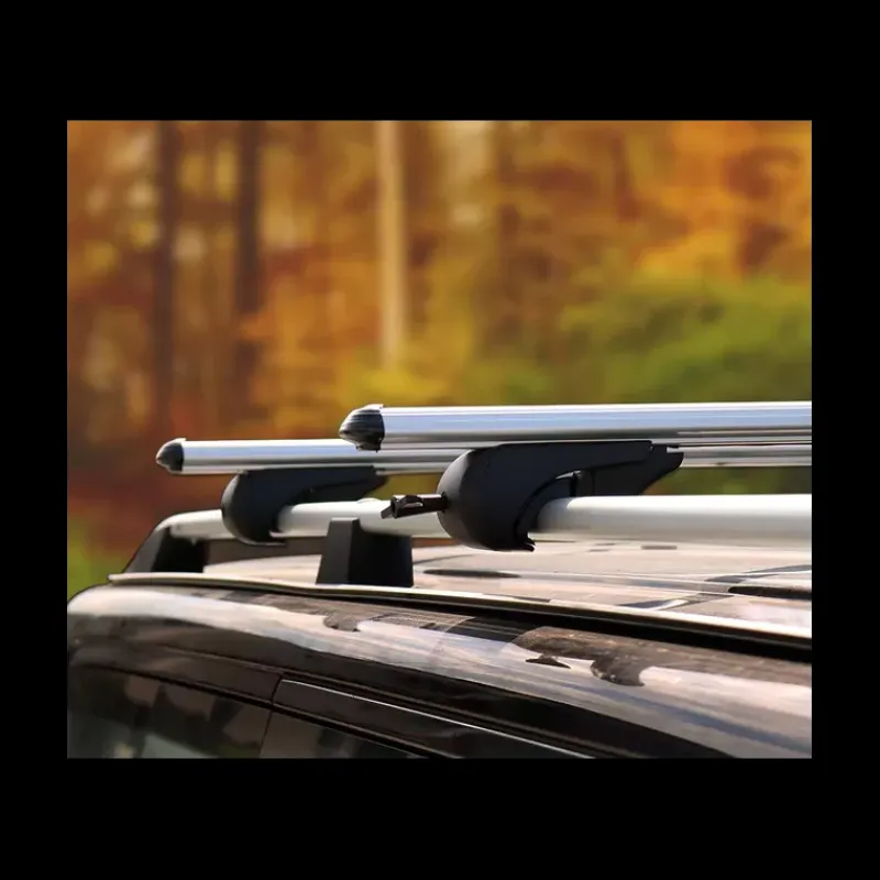 Discount Barre de toit Boldbar Ford Transit 5 Tente De Toit, Barre De Toit, Coffre & Échelle·Rail & Barre De Toit