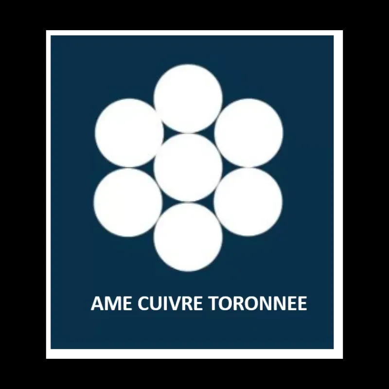 Câble sur-gainé 2 x 10 mm²*OMERIN Discount