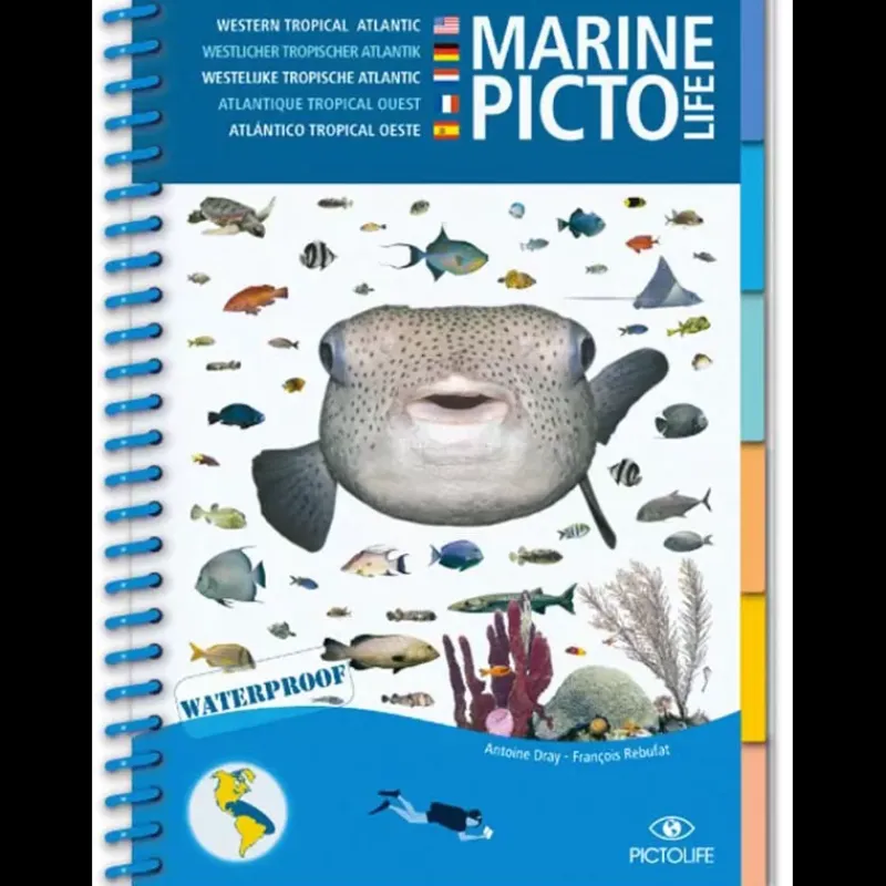 Discount Guide Marine Pavillon, Librairie & Cartographie·Livre & Dvd