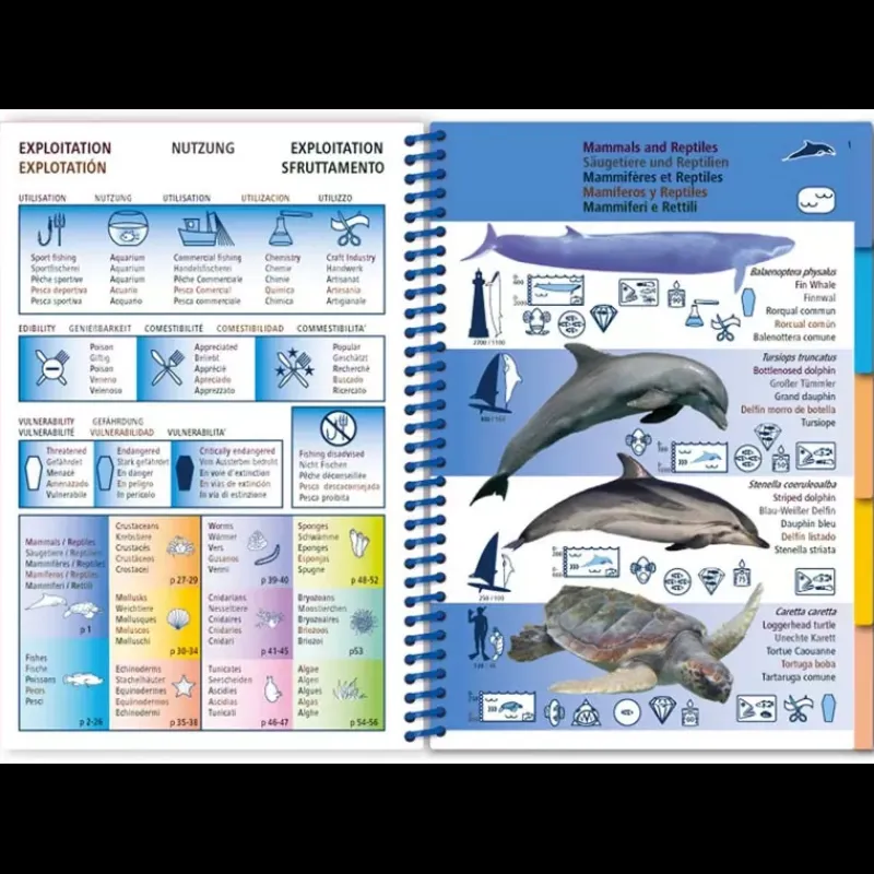 Discount Guide Marine Pavillon, Librairie & Cartographie·Livre & Dvd