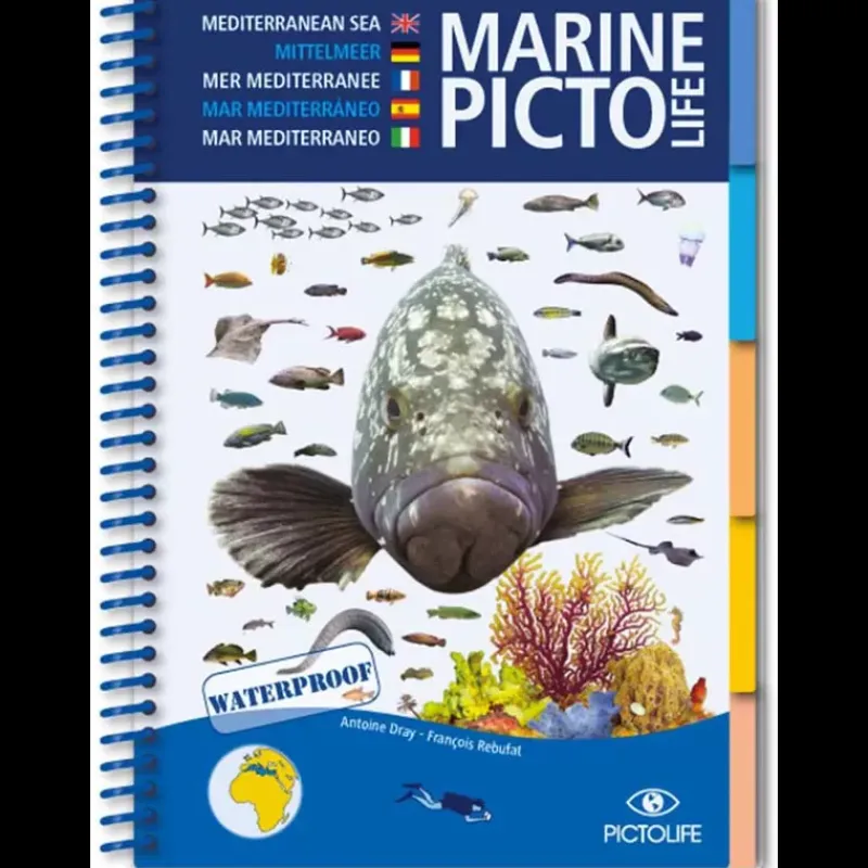 Discount Guide Marine Pavillon, Librairie & Cartographie·Livre & Dvd