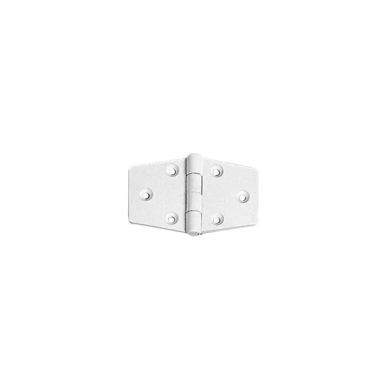 Charnière plastique 65 x 40 mm*Seaworld New