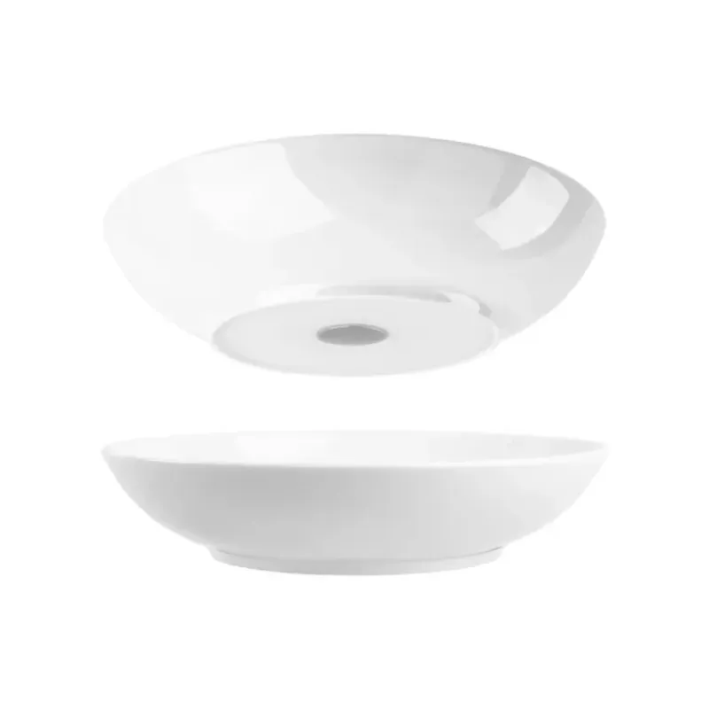 Lot de 2 bols magnétiques Ø 21 cm*SILWY New