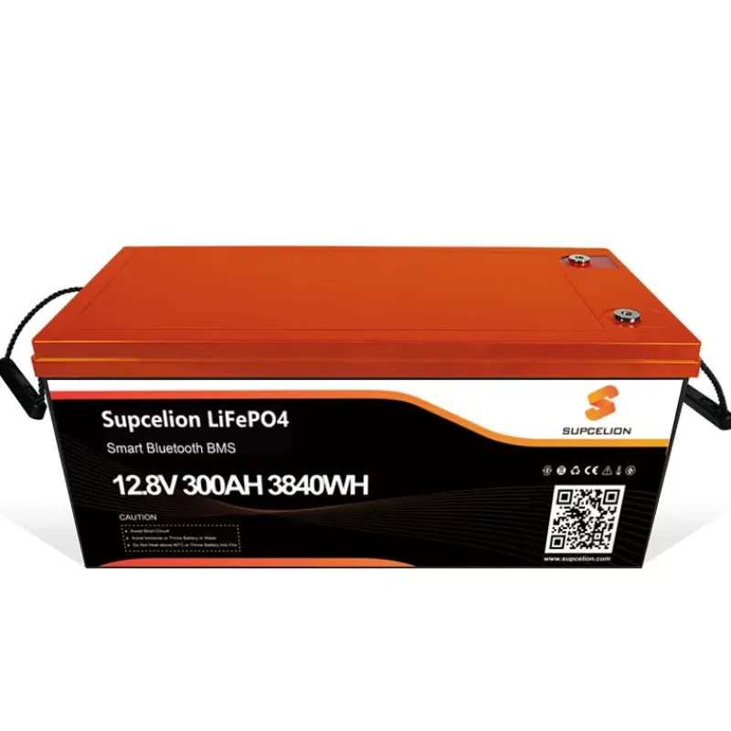 Batterie Lithium Pro 12-300 Ah BT - 3840 Wh*Supcelion Sale