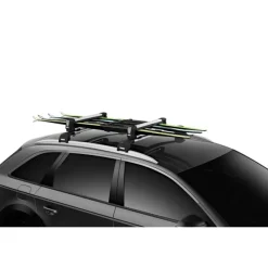 SnowPack M*Thule Online