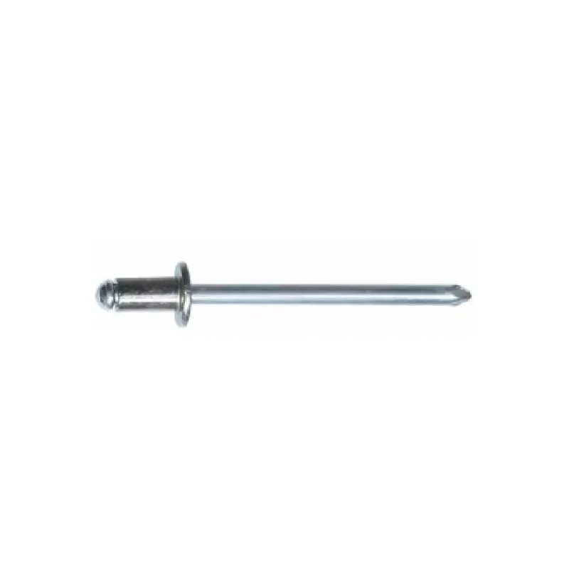 New Rivet tête plate 4,8 x 8 mm acier Visseries·Rivets|Visserie·Rivet