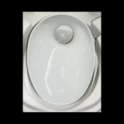 Sale Insert porcelaine pour WC THETFORD Wc & Sanitaires·Accessoire & Entretien Wc