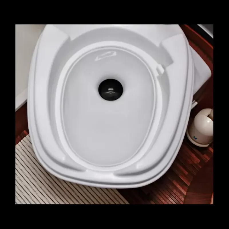 Sale Insert porcelaine pour WC THETFORD Wc & Sanitaires·Accessoire & Entretien Wc